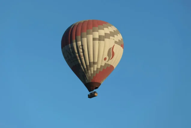 Cat Hot Air Balloon - Standart Flight